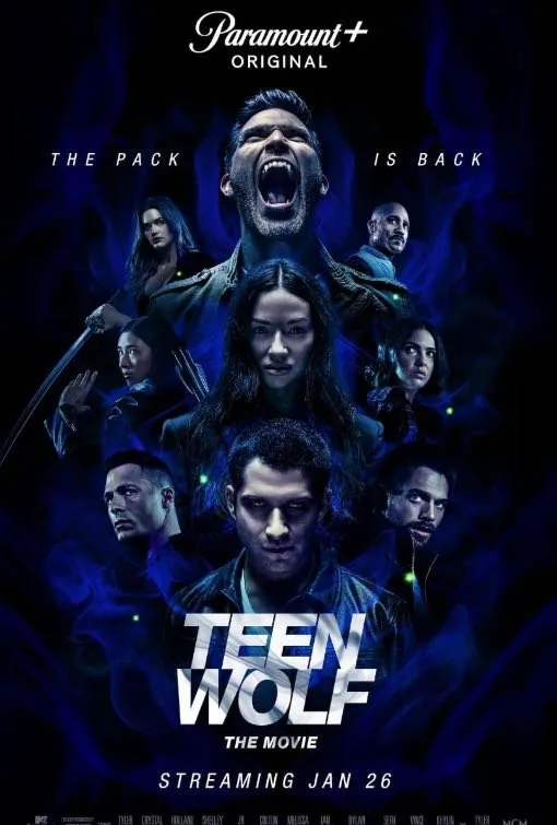 Mega IPTV Movies & Series 10